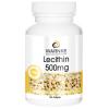 Warnke Lecithin 500 mg