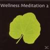 VARIOUS - Wellness Medita
