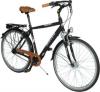 PERFORMANCE Citybike (Her