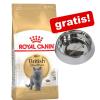 10 kg Royal Canin Breed + Royal Canin Cat Edelstah