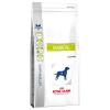 Royal Canin Veterinary Diet Canine Diabetic - Spar