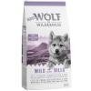 Little Wolf of Wilderness