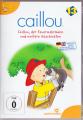 Caillou - Vol. 13 - (DVD)