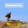 Rudimental - Toast To Our...