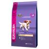 Eukanuba Puppy Small / Medium Breed Lamm & Reis - 