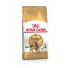 Royal Canin Bengal - Sparpaket: 2 x 10 kg