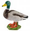 Schleich Erpel 13824