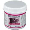 EnzymoPank® für Hunde und