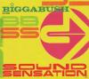 Various - Biggabush-Sound...