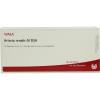 Arteria Renalis GL D 30 Amp...