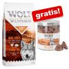 Wolf of Wilderness: 12 kg Trockenfutter + Gefrierg