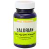 Gall Pharma Baldrian 360 
