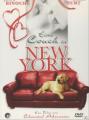 Eine Couch in New York - 