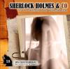 Sherlock Holmes & Co 18: 
