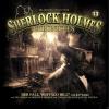 Sherlock Holmes Chronicles 13 - Der Fall Buffalo B
