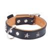 Heim Lederhalsband Stars,