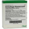 Cimicifuga Homaccord Ampullen