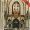 Winfried Bönig - Romantische Orgelmusik - (CD)