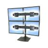 ERGOTRON Serie DS100 Stan...
