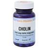 Gall Pharma Cholin 100 mg...