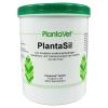 PlantaSil
