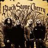 Black Stone Cherry - Black Stone Cherry - (CD)