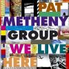 Pat Metheny We Live Here ...