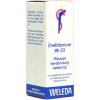 Chelidonium Rhizoma Rh D ...