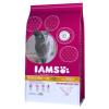 IAMS Pro Active Health Ma...