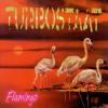 Turbostaat - Flamingo - (...