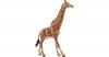 Schleich 14749 Wild Life: Giraffenbulle