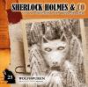 Sherlock Holmes & Co 25: ...