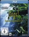 Bugs! Abenteuer Regenwald...