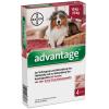 advantage® 250 mg für Hunde