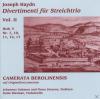 Various - Haydn, Divertim...