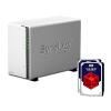 Synology Diskstation DS21...