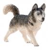 Schleich Husky 16835