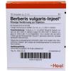 Berberis vulgaris-Injeel® Ampullen