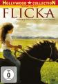 Flicka Abenteuer DVD