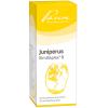 Juniperus Similiaplex® R