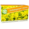 Solidagoren® mono Kapseln