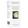 DR. Koll Viburnum Lantana...