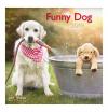 TeNeues Funny Dog 2019 A&