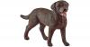 Schleich 13834 Farm World: Labrador Retriever Hünd