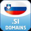 .si-Domain