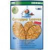 Dennerle Catappa Leaves - 10 Stück (ca. 24 g)