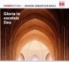 Various - Gloria In Excelsis Deo - (CD)