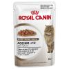 Royal Canin Ageing +12 in...