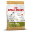 Royal Canin Great Dane Adult - Sparpaket: 2 x 12 k