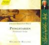 Bcs - PFINGSTARIEN - (CD)